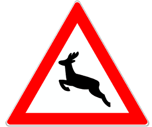 Achtung Wildwechsel: Dieses Schild warnt davor, dass Wildtiere die Fahrbahn kreuzen könnten.