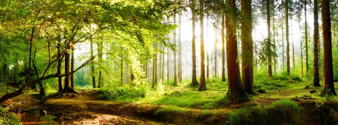 Ist das Befahren von Waldwegen und Feldwegen unproblematisch? 