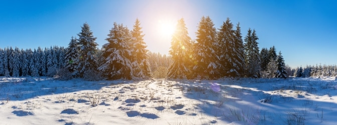 Egal, ob Sommer oder Winter: Bei der Einreise nach Finnland ist einiges zu beachten.