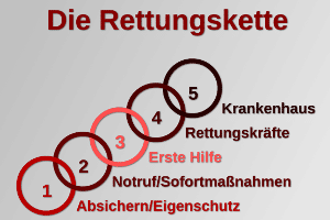 In der Regel ist ein Kurs lebenslang gültig, es wird jedoch empfohlen, regelmäßig den Erste-Hilfe-Kurs zur Auffrischung zu besuchen