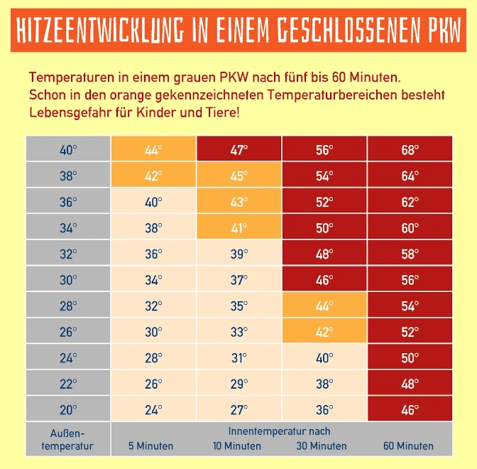 Bei Hitze den Hund im Auto lassen? Die Temperatur kann unwahrscheinlich schnell in den roten Bereich steigen