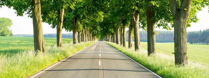 Auf einer Landstraße gibt es tolle Aussichten - teilweise jedoch auch spezielle Regeln.