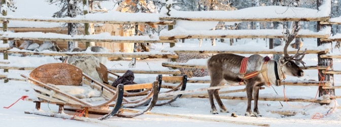 Nicht jeder muss die Maut in Norwegen bezahlen - Pkw- und Wohnmobilreisende aber schon.