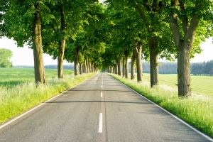 Wenn Sie mit dem Auto durch Finnland fahren, müssen Sie die entsprechenden Verkehrsregeln beachten.