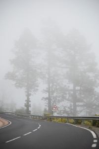 Nebel: Tagfahrlicht allein reicht nicht aus / Tipps zum sicheren Fahren bei  schlechter