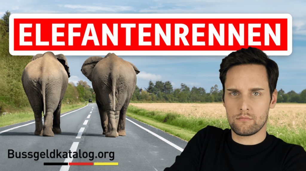 Elefantenrennen: Alles Wichtige erfahren Sie in diesem Video!