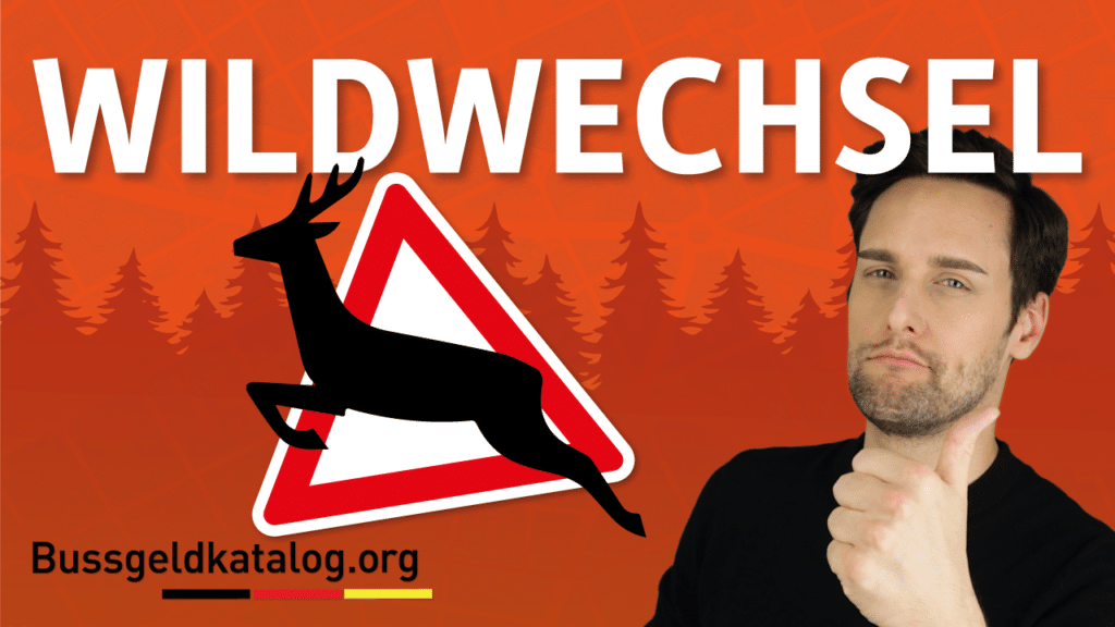 In diesem Video erfahren Sie, wie Sie sich bei Wildwechsel verhalten sollten.
