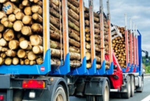 Überstehende Ladung kann auch bei Lkw zur Gefahr werden, wenn keine ausreichende Ladungssicherung gegeben ist.