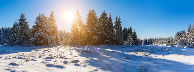 Eine verbesserte Sichtbarkeit trägt zur Verkehrssicherheit im Winter bei.