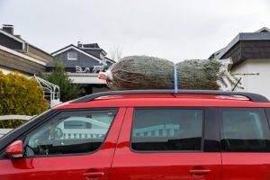 Wie lässt sich der Weihnachtsbaum am besten transportieren?