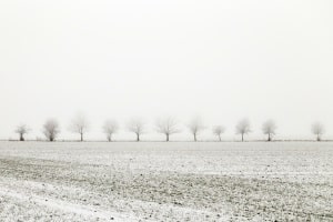 Winterreifen können beim Lkw mit Sommerreifen kombiniert werden – bei nicht winterlichen Bedingungen.