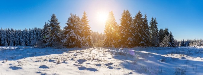 Winterreifen sind bei bestimmter Witterung Pflicht.